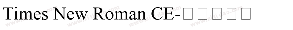 Times New Roman CE字体转换